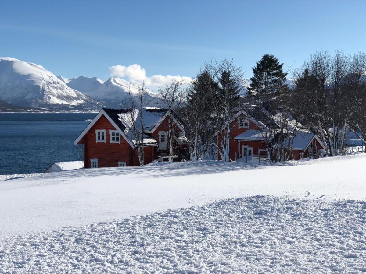 Aaroybukt Guesthouse Aroybukta Buitenkant foto