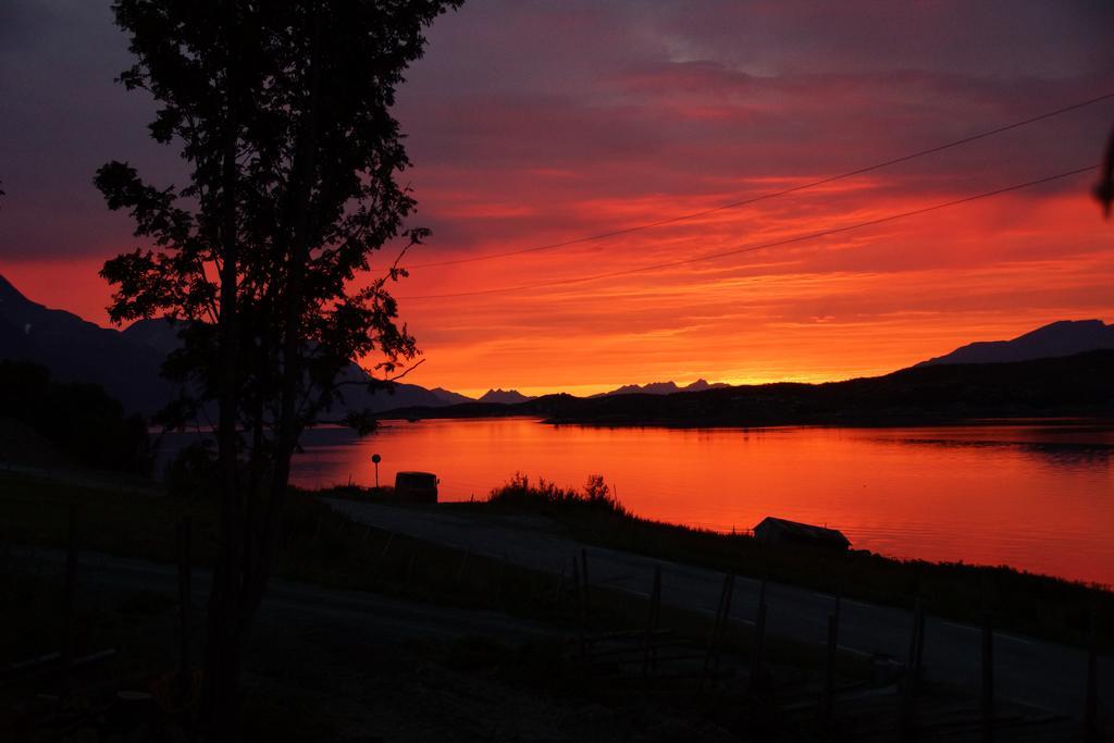 Aaroybukt Guesthouse Aroybukta Kamer foto