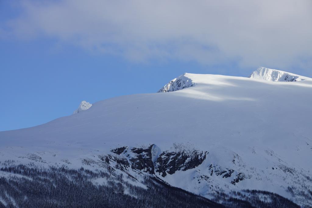 Aaroybukt Guesthouse Aroybukta Buitenkant foto