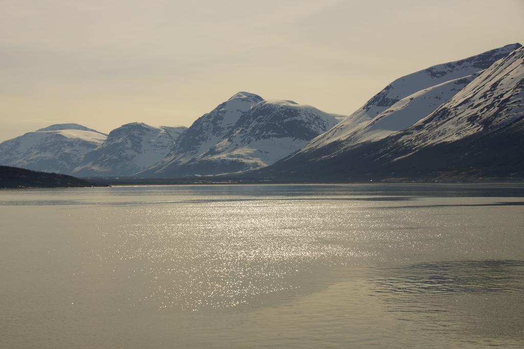 Aaroybukt Guesthouse Aroybukta Buitenkant foto